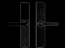 青松沃德-Wi-Fi 指紋鎖家用防盜門智能門鎖密碼鎖刷卡電子鎖 防磁干擾 防撬 L9-WT (不含鎖體，鎖體需另購）